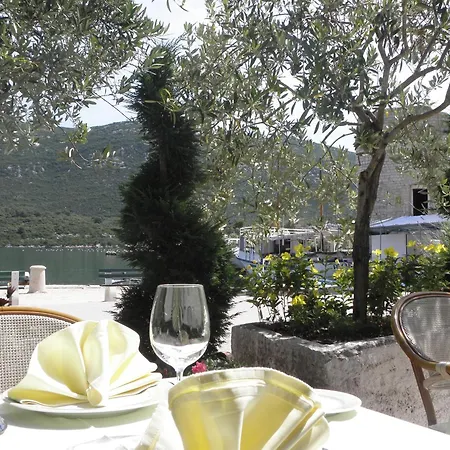 Damir * 马里斯通